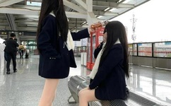 会长是女仆大人图片